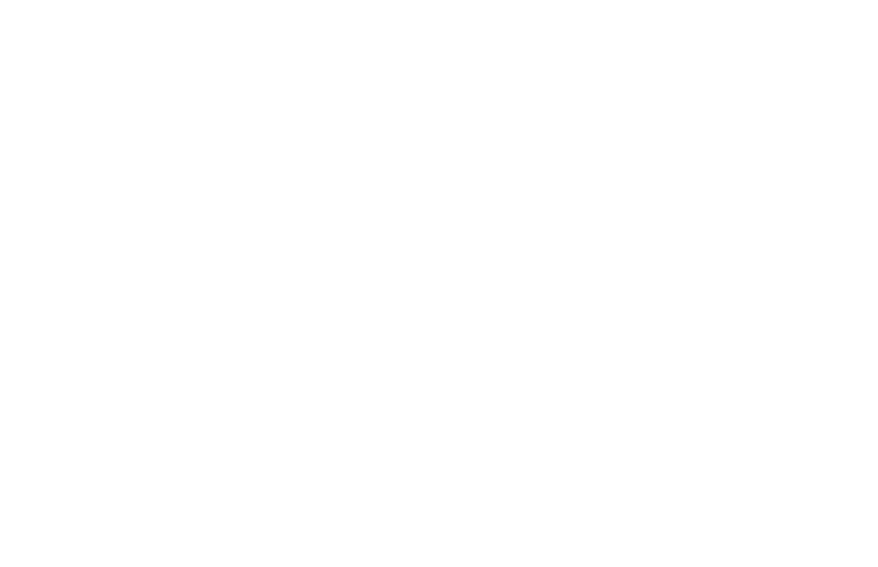 FischPeer Liana Valieva Logo